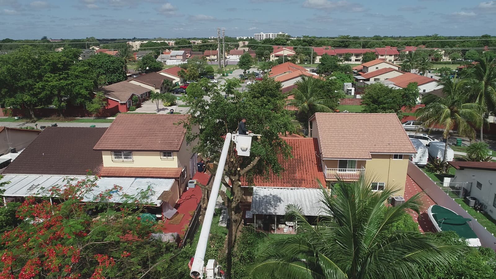 Premium Landscaping in Miami